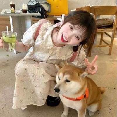 百变机兽之元气星魂